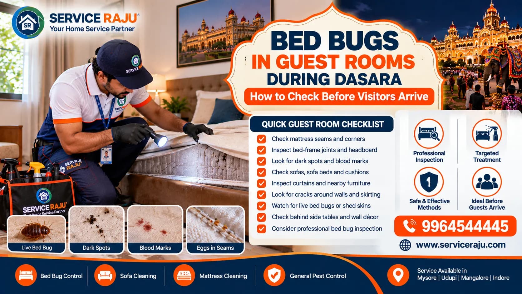Bed Bugs in Guest Rooms During Dasara: How to Check Before Visitors Arrive