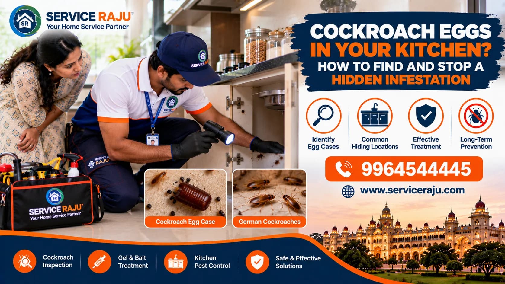 Cockroach Eggs in Your Kitchen? How to Find and Stop a Hidden Infestation