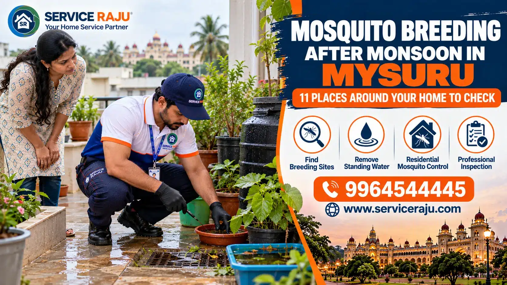 Mosquito Breeding After Monsoon in Mysuru: 11 Places Around Your Home to Check