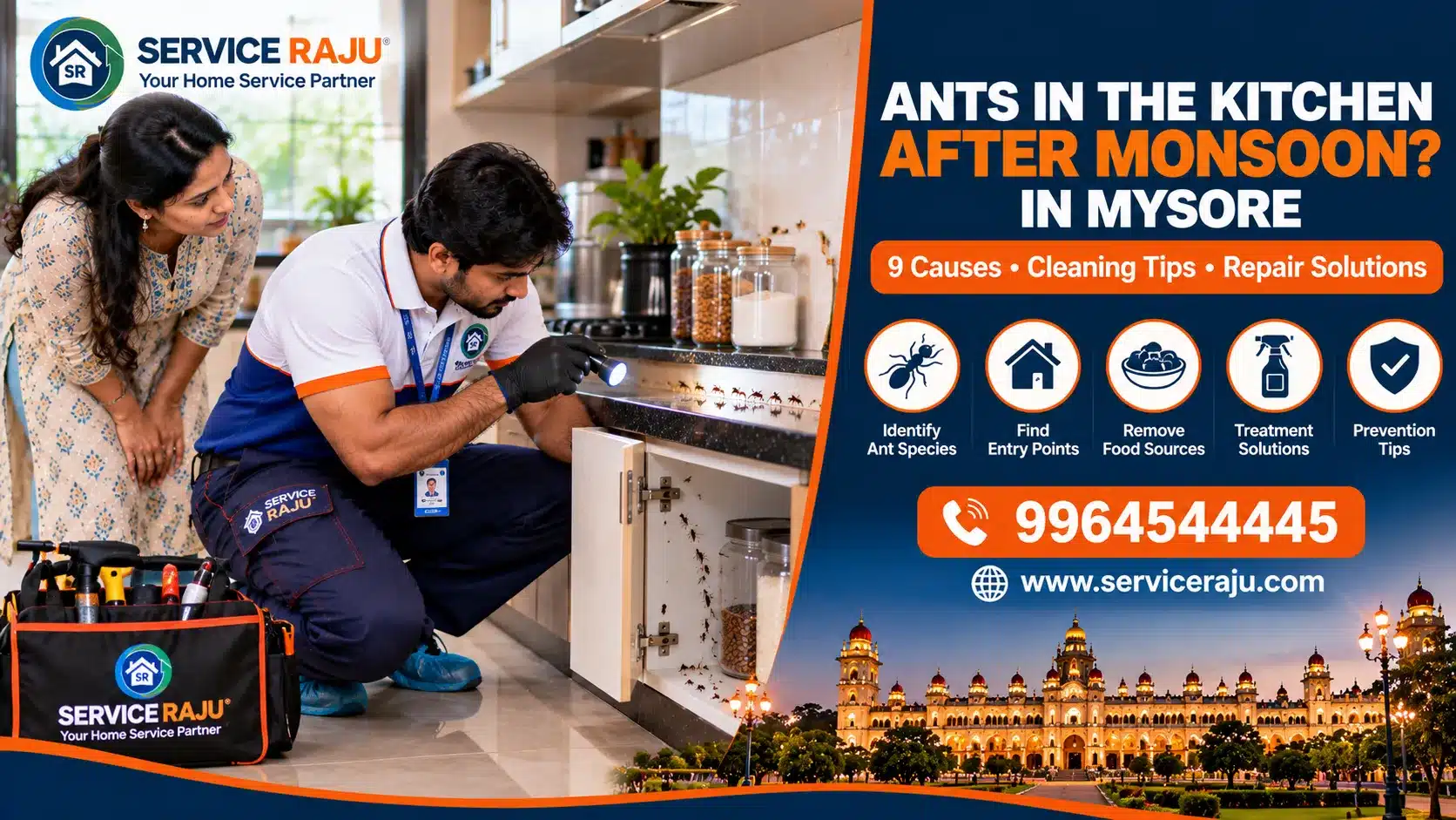 Ants in the Kitchen After Monsoon: Why They Suddenly Appear and How to Stop Them