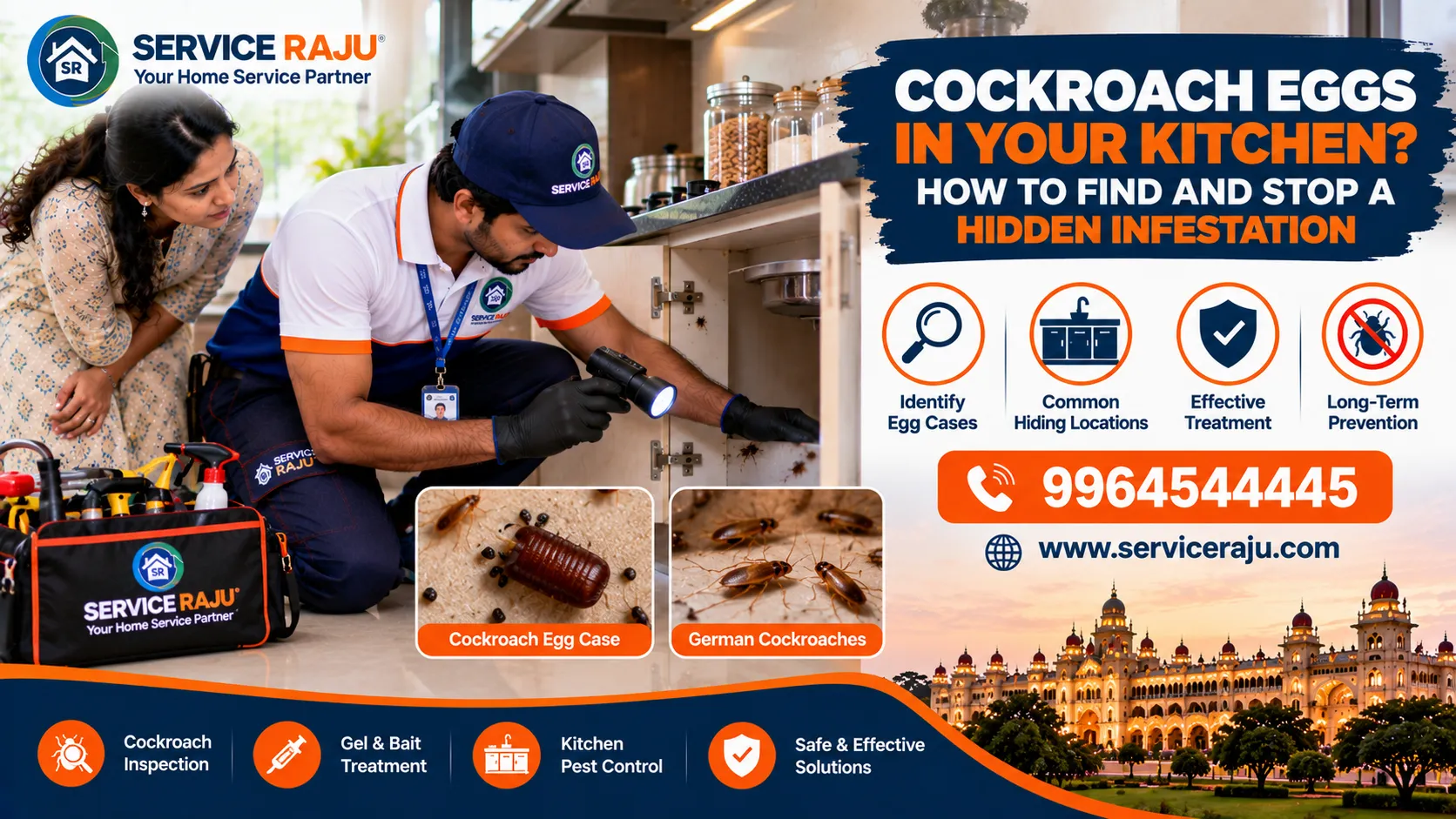 Cockroach Eggs in Your Kitchen? How to Find and Stop a Hidden Infestation