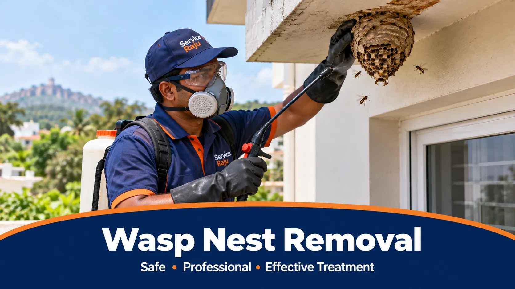 Wasp Nest Removal in Mysore: When to Call a Pro