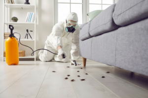 Apartment Cockroach Control